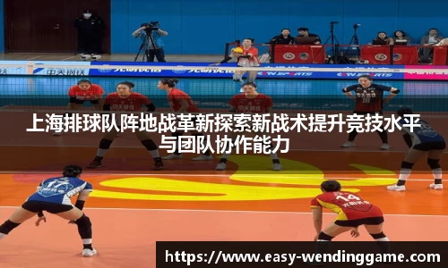 上海排球队阵地战革新探索新战术提升竞技水平与团队协作能力