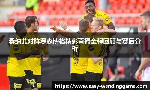 桑纳菲对阵罗森博格精彩直播全程回顾与赛后分析